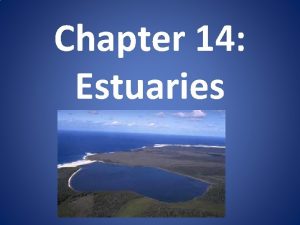 Chapter 14 Estuaries Form where river meets the