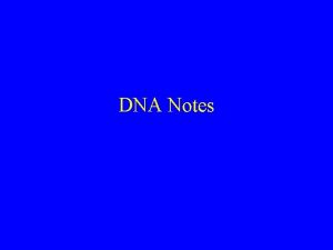 DNA Notes Central Dogma DNA RNA Protein Structure
