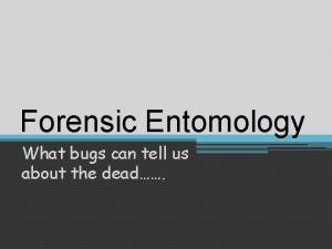 Forensic Entomology What bugs can tell us about