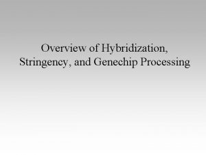 Overview of Hybridization Stringency and Genechip Processing The