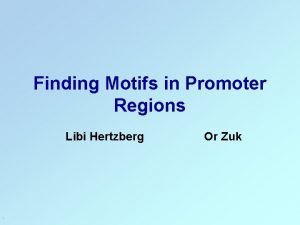 Finding Motifs in Promoter Regions Libi Hertzberg Or