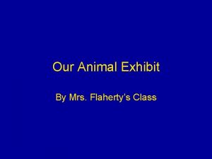 Our Animal Exhibit By Mrs Flahertys Class Appaloosa