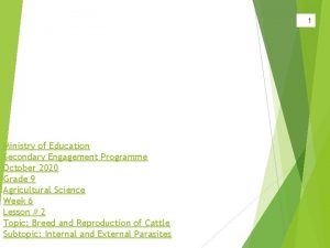 1 Ministry of Education Secondary Engagement Programme October