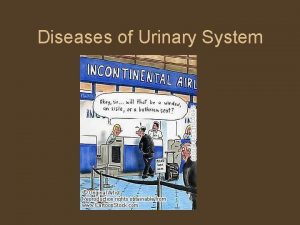 Diseases of Urinary System Urinary System AnatomyLocation Kidneys