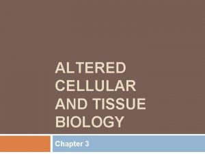 ALTERED CELLULAR AND TISSUE BIOLOGY Chapter 3 Key