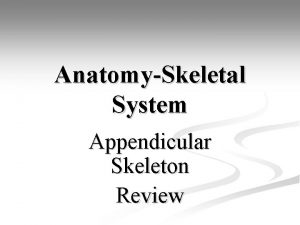 AnatomySkeletal System Appendicular Skeleton Review Anatomy Skeletal System