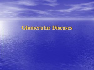 Glomerular Diseases Anatomy of the glomerulus and the