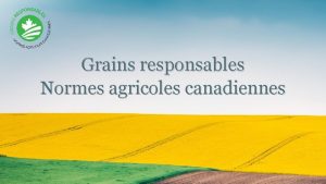 Grains responsables Normes agricoles canadiennes Les codes volontaires