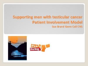 Supporting men with testicular cancer Patient Involvement Model