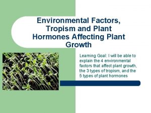 Environmental Factors Tropism and Plant Hormones Affecting Plant
