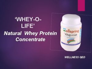 WHEYOLIFE Natural Whey Protein Concentrate WELLNESS QED CONTENTS