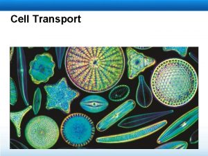 Cell Transport Learning Objectives Describe passive transport Describe