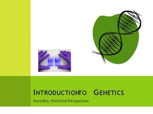 I NTRODUCTIONTO G ENETICS Heredity Historical Perspective H