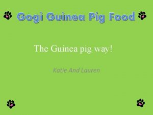 Gogi Guinea Pig Food The Guinea pig way