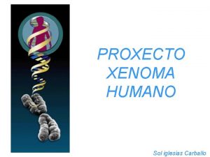 PROXECTO XENOMA HUMANO Sol iglesias Carballo PROXECTO XENOMA