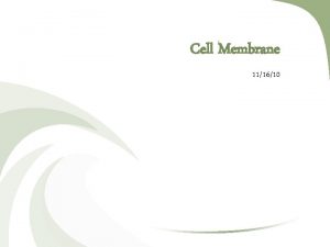 Cell Membrane 111610 Cell Membrane Function Controls what