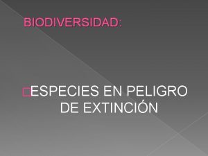 BIODIVERSIDAD ESPECIES EN PELIGRO DE EXTINCIN Oso Panda