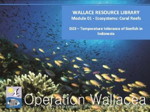 WALLACE RESOURCE LIBRARY Module 01 Ecosystems Coral Reefs