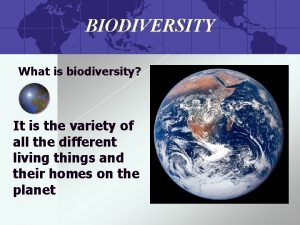 BIODIVERSITY What is biodiversity It is the variety