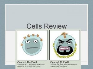 Cells Review Grudge Ball Rules Each group begins