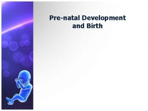 Prenatal Development and Birth Three PreNatal Periods A