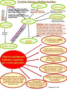 slinivka Problm diabetu z hlediska insulinu jtra INSULIN