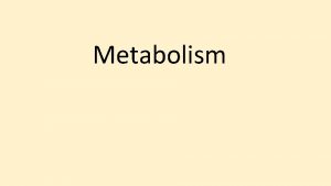 Metabolism How do living organisms create macromolecules organelles
