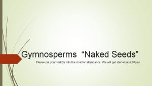 Gymnosperms Naked Seeds Please put your Net IDs