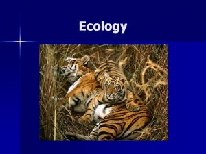 Ecology Ecology Section 3 1 What is Ecology