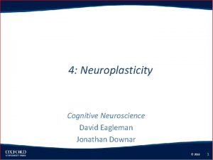 4 Neuroplasticity Cognitive Neuroscience David Eagleman Jonathan Downar