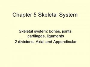 Chapter 5 Skeletal System Skeletal system bones joints