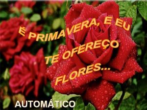 AUTOMTICO Chegou mais uma primavera tempo de se