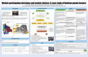 Market participation decisions and market choices A case