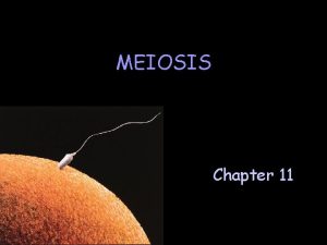 MEIOSIS Chapter 11 Why must organisms reproduce A