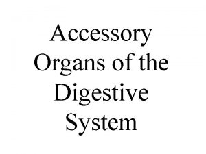 Accessory Organs of the Digestive System Teeth Know