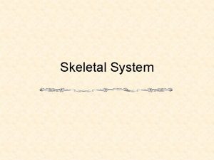 Skeletal System Types of Animal Skeletons Endoskeleton Internal