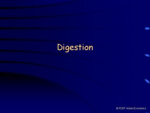 Digestion PDST Home Economics Physical and Chemical Digestion