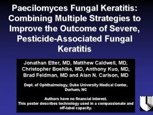 Paecilomyces Fungal Keratitis Combining Multiple Strategies to Improve