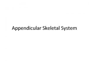 Appendicular Skeletal System Appendicular Skeletal System Composed of