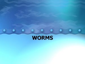 WORMS Flatworms soft flattened worms carnivores scavengers or