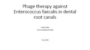 Phage therapy against Enterococcus faecalis in dental root