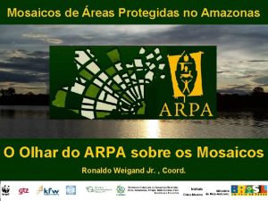 Mosaicos de reas Protegidas no Amazonas O Olhar