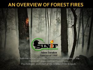 AN OVERVIEW OF FOREST FIRES Jaime Senabre Director