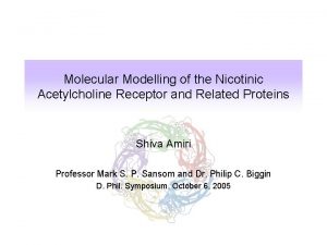 Molecular Modelling of the Nicotinic Acetylcholine Receptor and