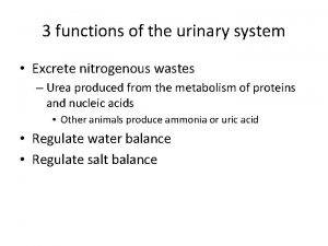 3 functions of the urinary system Excrete nitrogenous