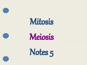 Mitosis Meiosis Notes 5 Bellwork Tues Nov 6