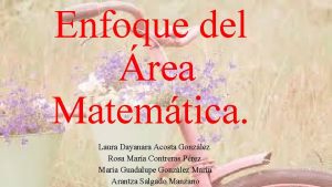 Enfoque del rea Matemtica Laura Dayanara Acosta Gonzlez