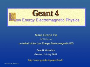 Low Energy Electromagnetic Physics Maria Grazia Pia INFN