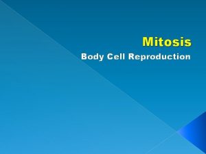 Mitosis Body Cell Reproduction Cell Cycle Cell cycle
