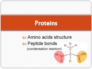 Proteins Amino acids structure Peptide bonds condensation reaction